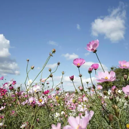 Vakantiehuis Spacious In Hambachtal