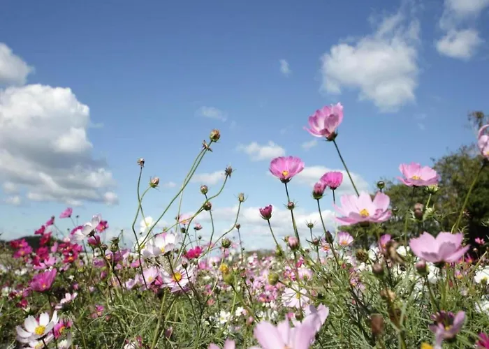 Casa vacanze Spacious In Hambachtal